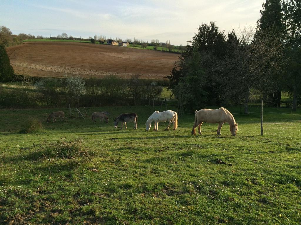 La Barillerie Panzió La Flèche Kültér fotó