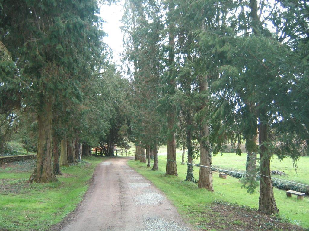 La Barillerie Panzió La Flèche Kültér fotó